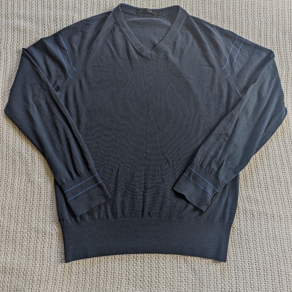Mens Large ICEBREAKER 100% Merino Wool Long Sleeve Sweater FLAWED V-Neck Blue